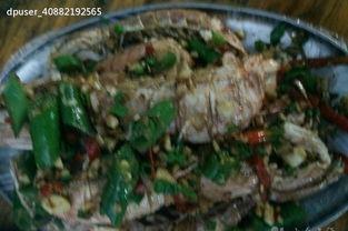 北海路吃瓜,一场热闹非凡的吃瓜盛宴