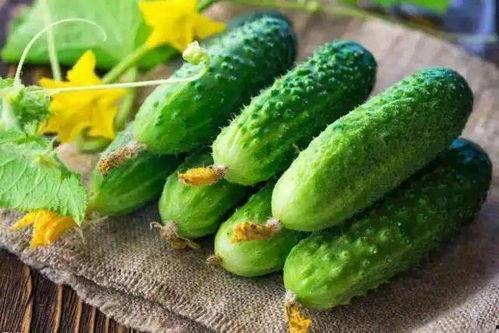 夏日吃三瓜,夏日消暑三瓜养生攻略