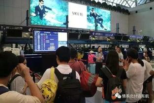 柜台吃瓜,揭秘日常生活中的小确幸