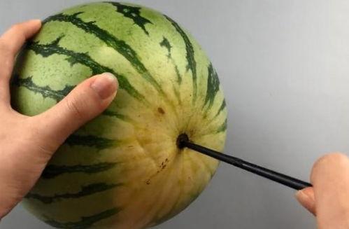 切西瓜吃瓜神器,轻松享受夏日清凉美味