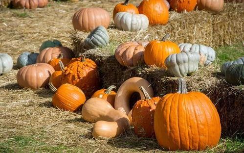 旧街 吃瓜,揭秘吃瓜群众的趣味生活