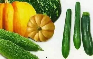 老梅瓜怎么吃,解锁美味新体验