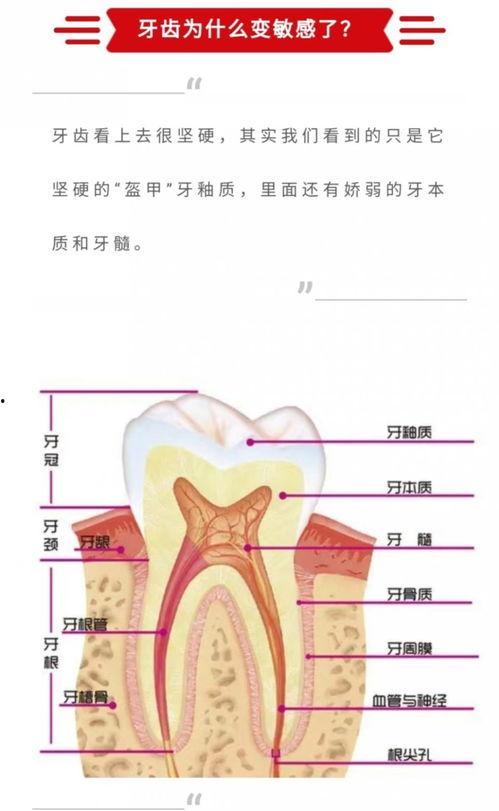 牙齿发炎可以吃瓜,清凉瓜果助你缓解不适