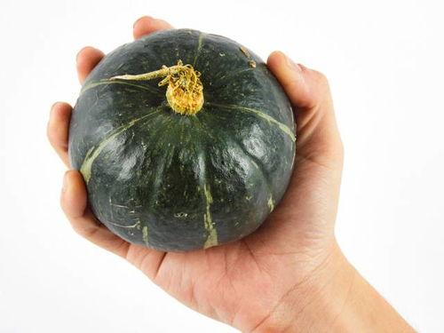 脾虚可以吃小瓜吗,脾虚人群适宜食用的小瓜推荐