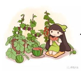 吃瓜不用花钱了