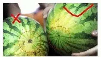 福州金融圈吃瓜,揭秘吃瓜背后的金融圈故事