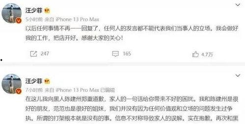 629吃瓜范玮琪,范玮琪风波背后的真相揭秘