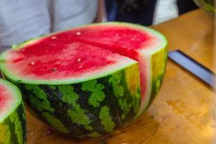 看人家吃蜜瓜,共享甜蜜时光